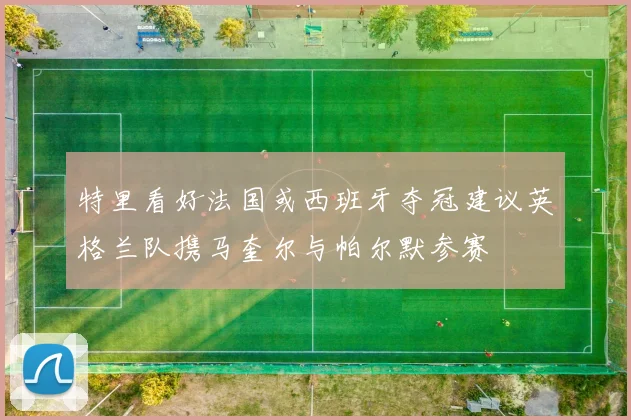 特里看好法国或西班牙夺冠建议英格兰队携马奎尔与帕尔默参赛